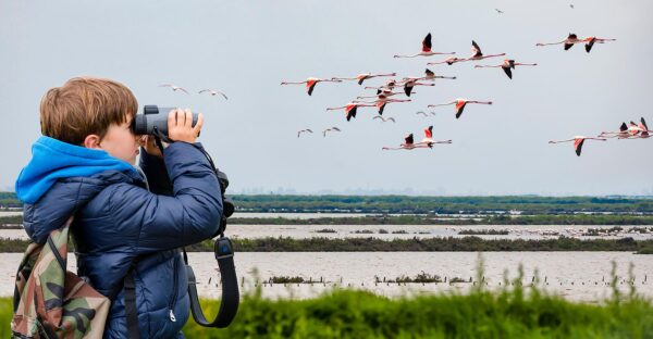 Explore Suncoast - Outer Banks Birdwatching