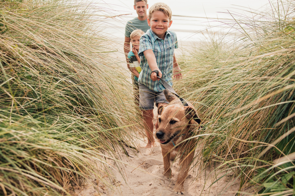 Outer Banks Pet Guide: Taking Pets to Outer Banks