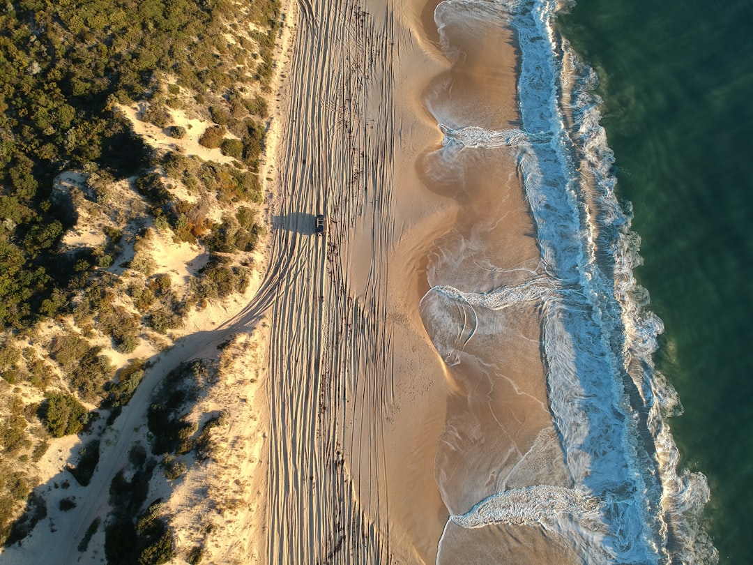 Outer Banks Spring Break: How to Plan the Ultimate Coastal Getaway