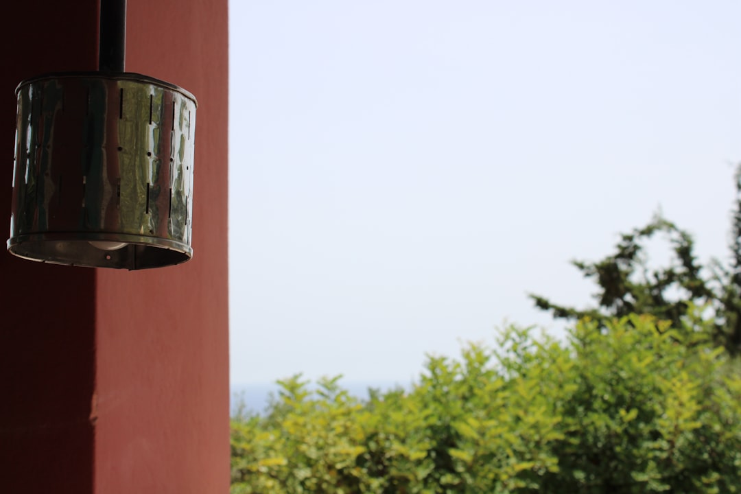 Outer Banks Pest Control Tips for Vacation Rentals and Beach Homes