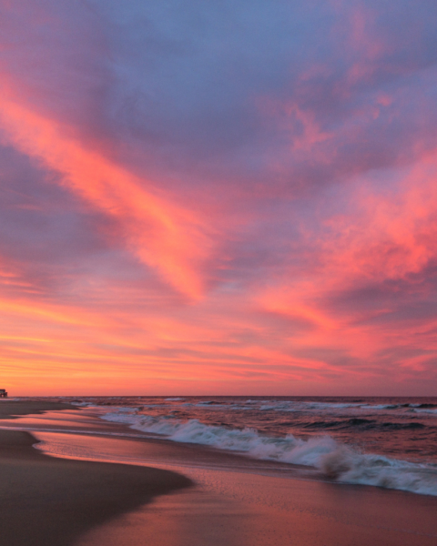 Explire Suncoast - Things to Do in Outer Banks in March: Start of Spring Adventures